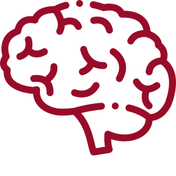 brain